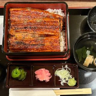 並の松（1尾）