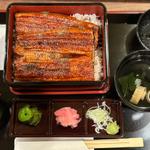 並の松（1尾）