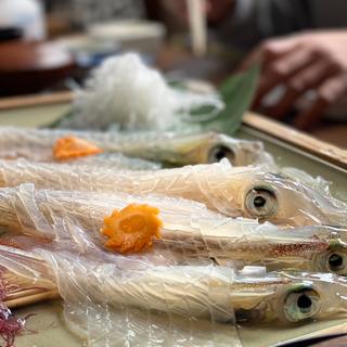 いか活作り定食