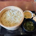 釜揚げうどん　大盛