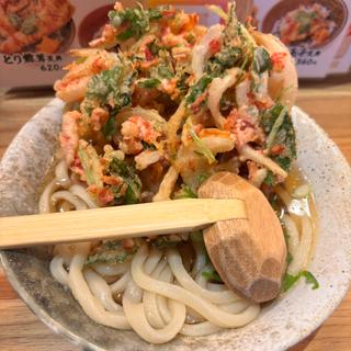 小海老と三つ葉かき揚げうどん(ふたば製麺コレド室町テラス)