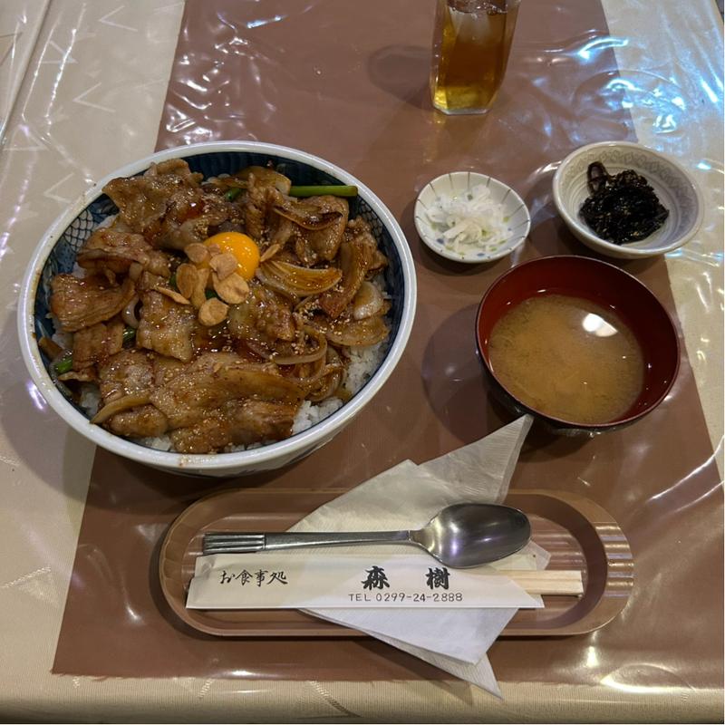 メガスタミナ丼(森樹 （モリキ）)