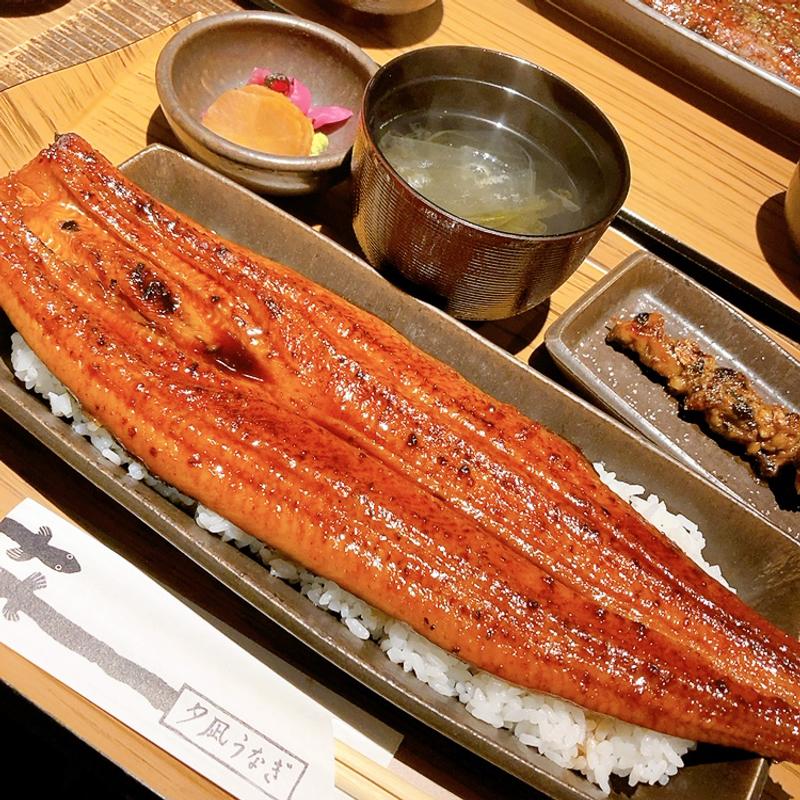 一本うな重(夕凪うなぎ)