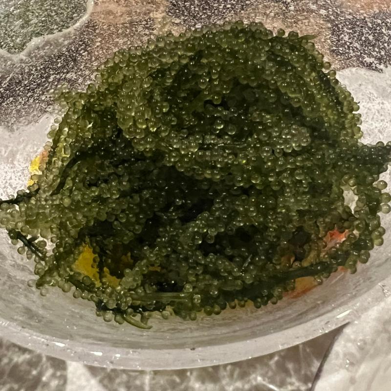 海ブドウ(個室しゃぶしゃぶ 金しし)