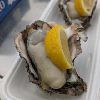 岩カキ（酒田産）(宮野浦浜直売 )