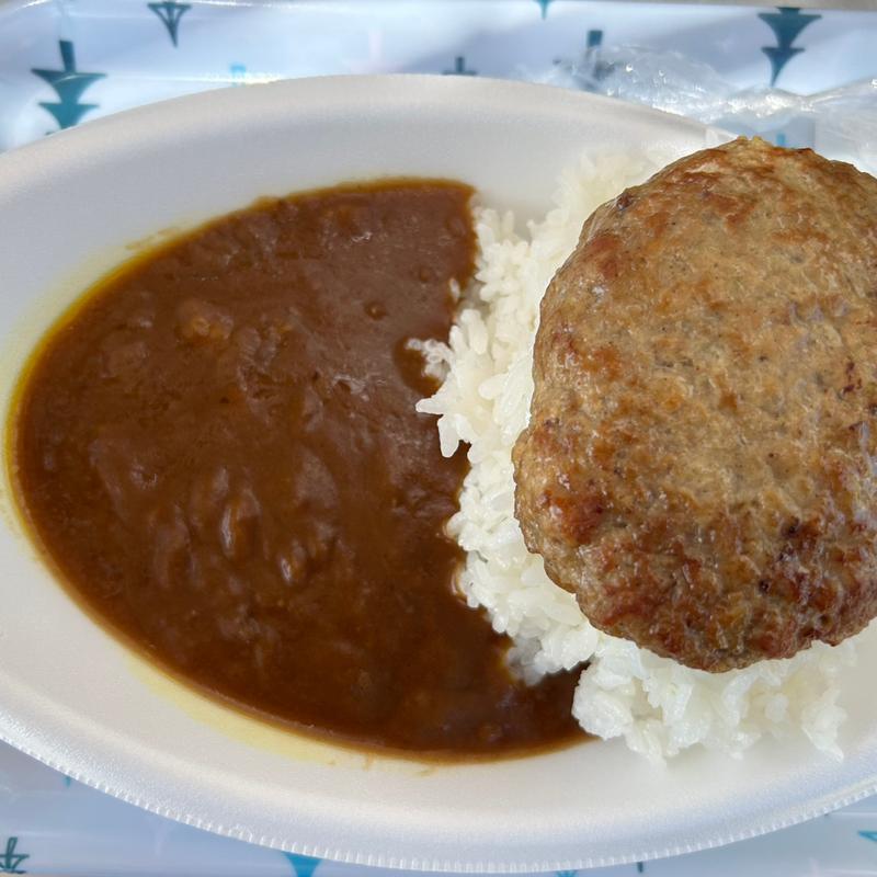 伯方ハンバーグカレー(マリンオアシスはかた )