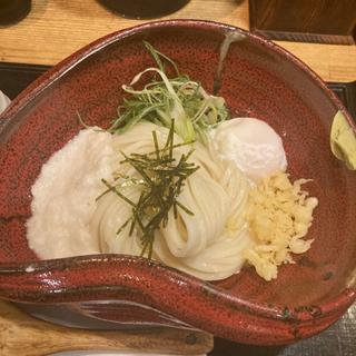 温玉とろろ(平成麺業 石橋店)