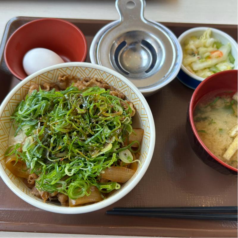 ネギ玉牛丼(すき家 長浜IC店  )