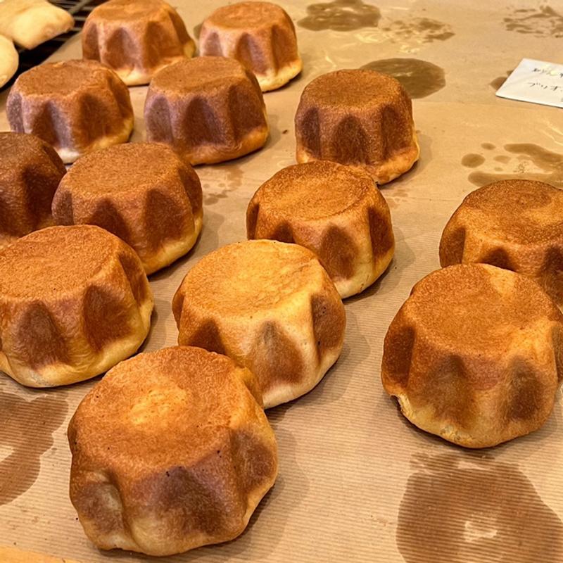 (カドナ （Cadona）)