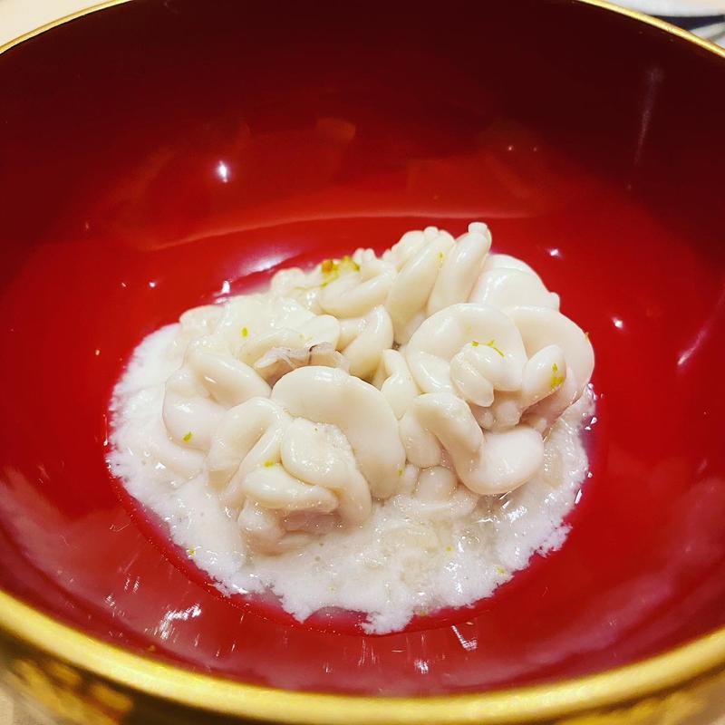 白子(北の華はやし)