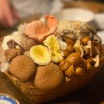 裏の山の木の子コース(裏の山の木の子)