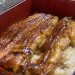 特製 うな重 菊(川越 いちのや （かわごえ いちのや）)