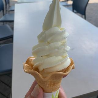 バニラソフトクリーム