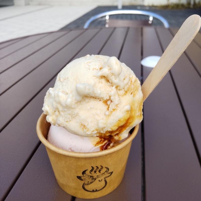 ジェラートダブル(もりおかみるくステーション)