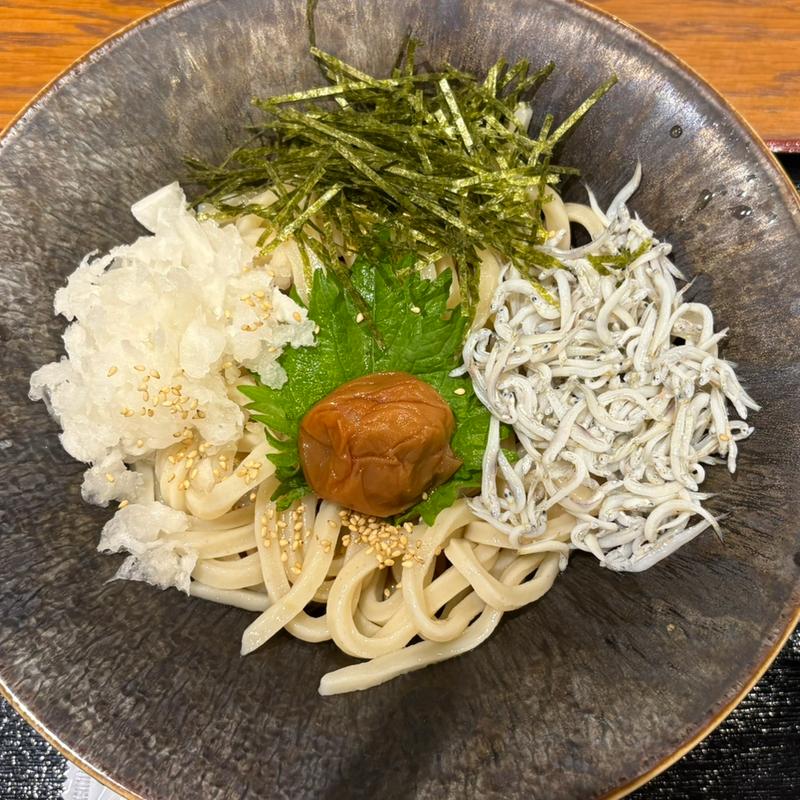 北限しらすと南高梅の鬼おろしぶっかけうどん(ひな香)