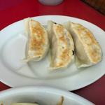 ハーフ餃子