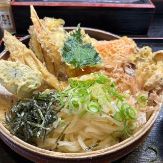 野菜天ぶっかけ