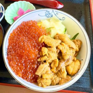 うにといくらの2色丼