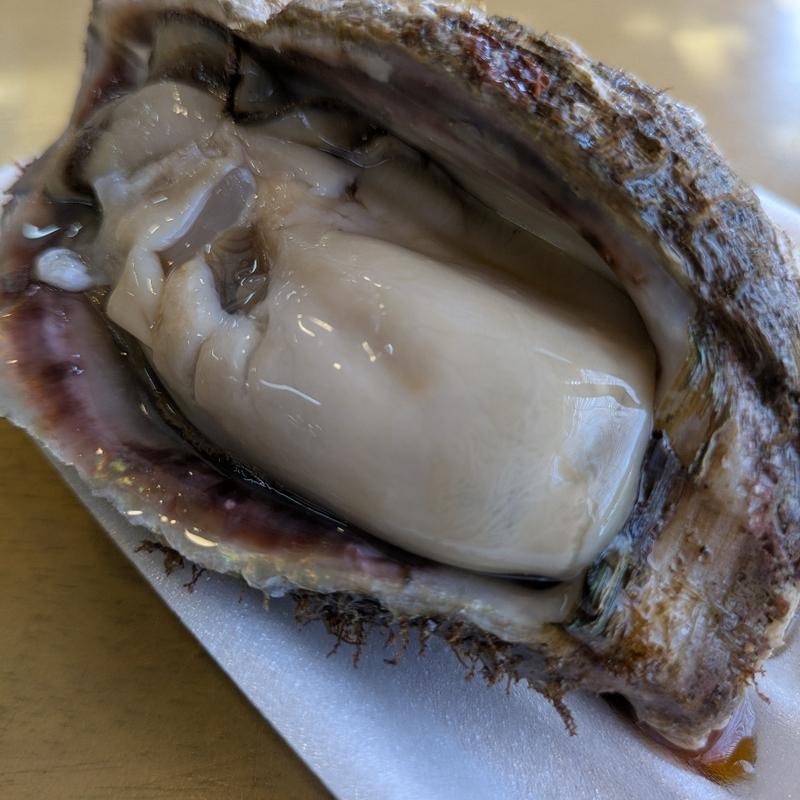 天然岩がき(道の駅 鳥海ふらっと )