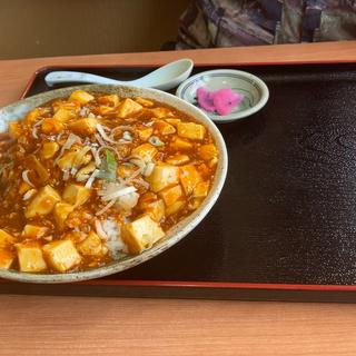 麻婆豆腐丼(台湾料理 吉祥 下石田店 )