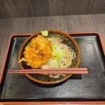 冷やしかき揚げ蕎麦