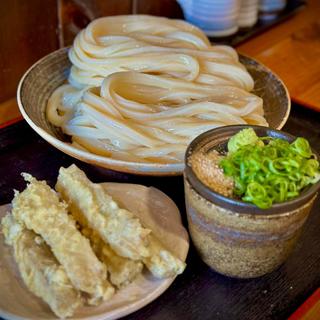 ごぼ天 ざる(手打ちうどん とよ香)
