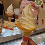 土産ソフトクリーム