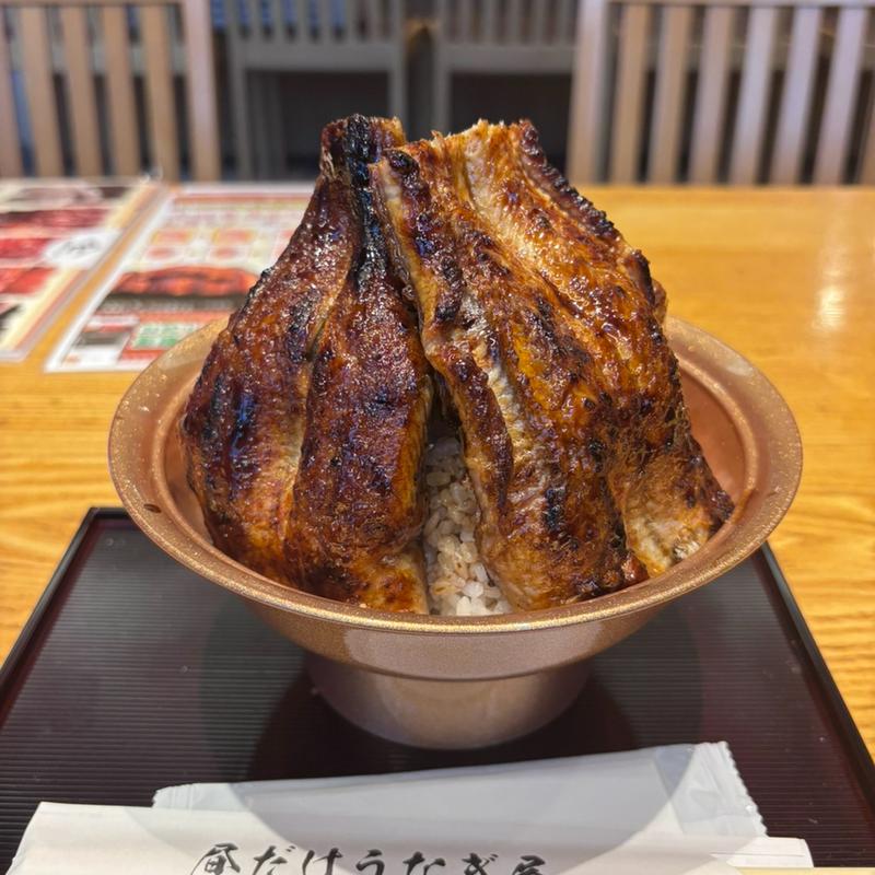 富士うな丼(昼だけうなぎ屋 太田川駅前店)