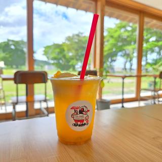 かなたけスカッシュフロート(manuastand（マヌアスタンド）)
