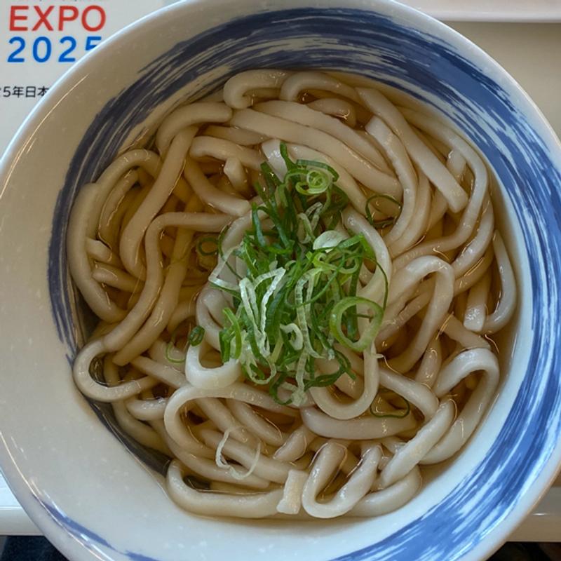 冷やしかけうどん(好きやねん大阪フードコート WEST SIDE)