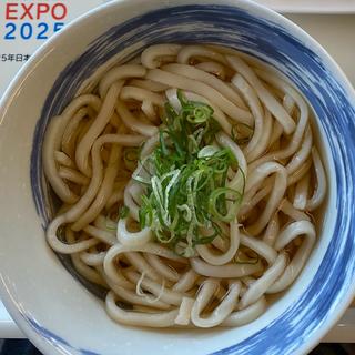 冷やしかけうどん(好きやねん大阪フードコート WEST SIDE)