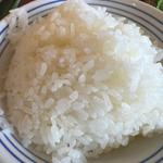 ごはん大