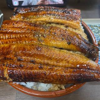 うな丼 大盛り