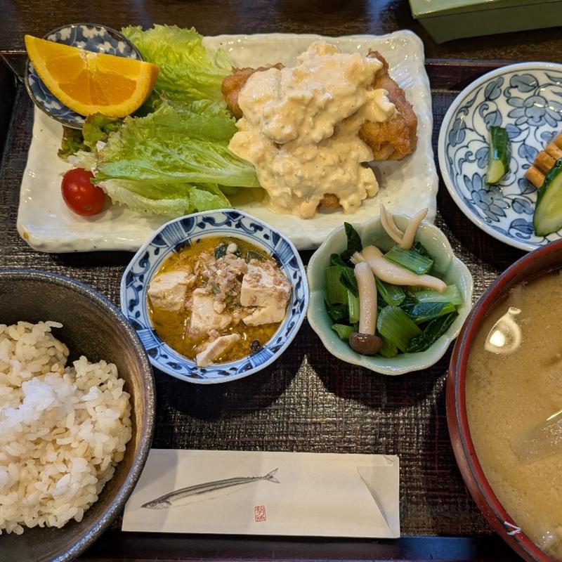 ちきん南蛮レディースサイズ(でんでんでん)