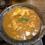 カレーうどん【ひもかわ&小】