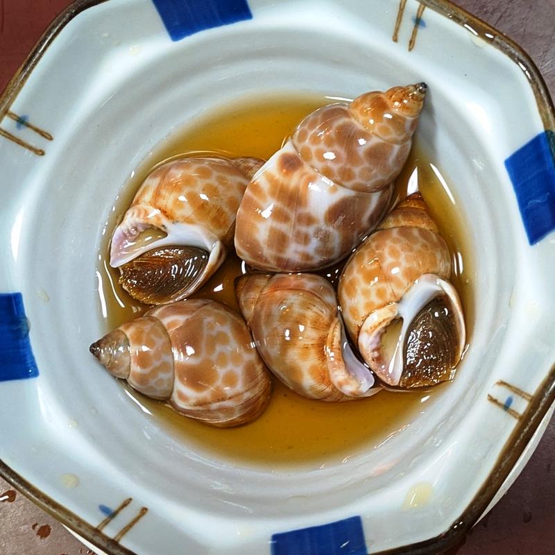 バイ貝(丸大ホール)