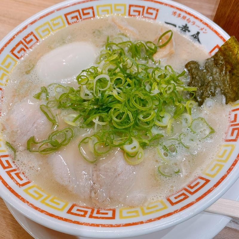 トンコツラーメン(博多一幸舎 中洲店 （いっこうしゃ）)