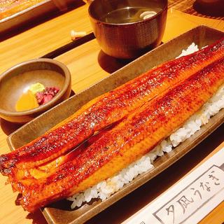 一本うな重