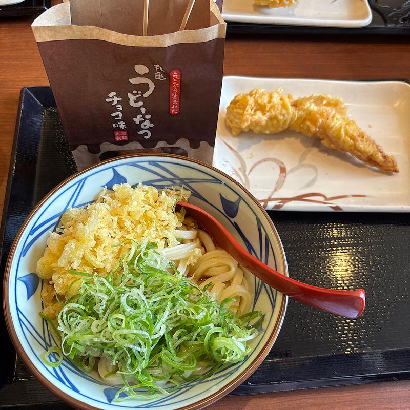 ぶっかけ　並　(丸亀製麺 三条店 （丸亀製麺　三条店）)