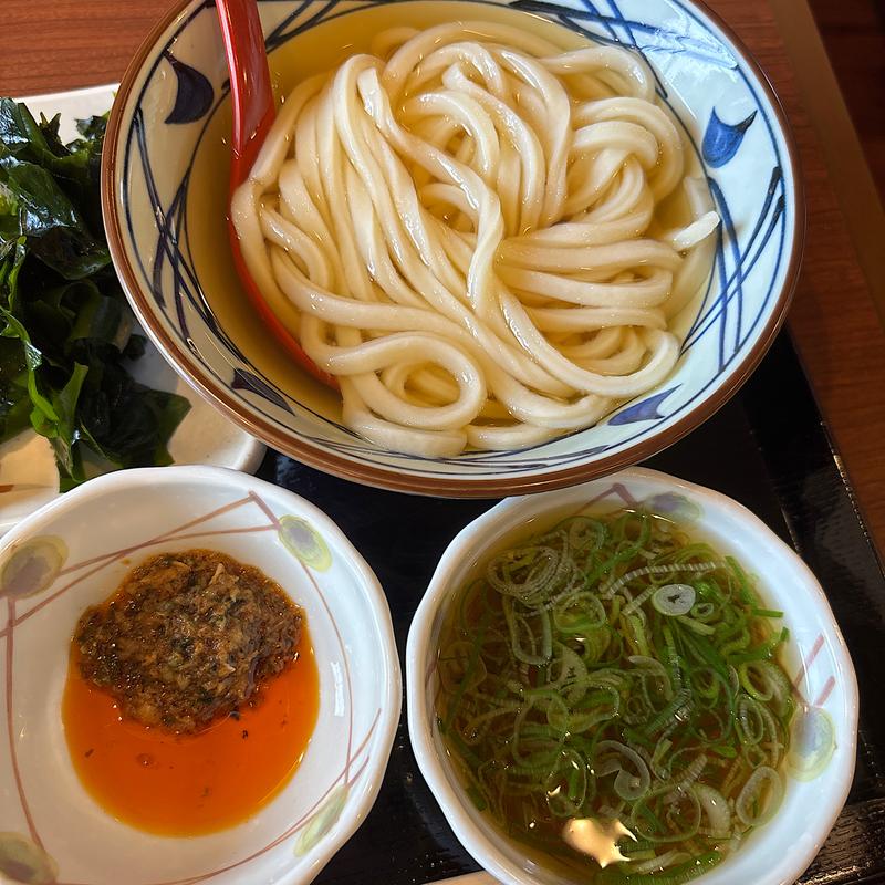 冷かけうどん　並(丸亀製麺 三条店 （丸亀製麺　三条店）)
