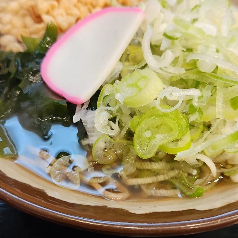 トッピングネギ(大船そば)