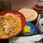 日替り定食