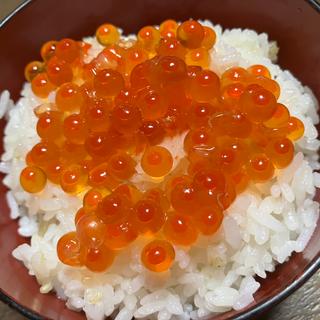 いくら(大起水産 街のみなと まぐろパーク 堺本店)