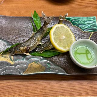 鮎　神通川(親爺 )