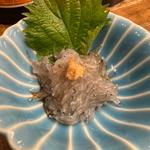 静岡産 生しらす