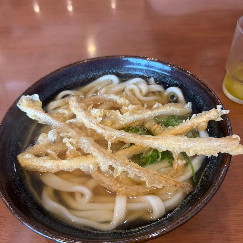 ごぼう天うどん(正八郎うどん)