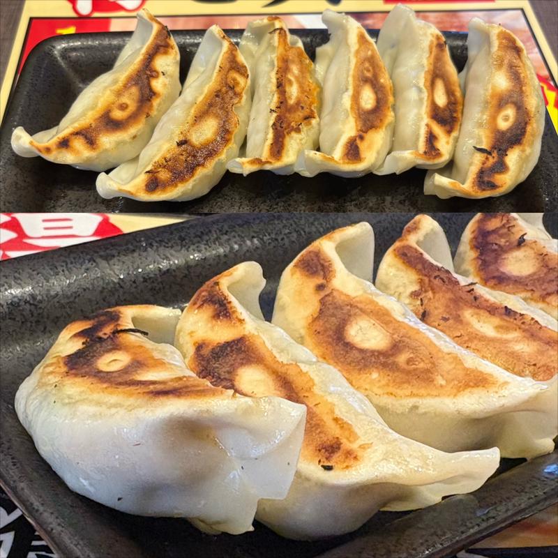 きゃべとん餃子(熟成醤油ラーメン きゃべとん 横浜青葉台店)