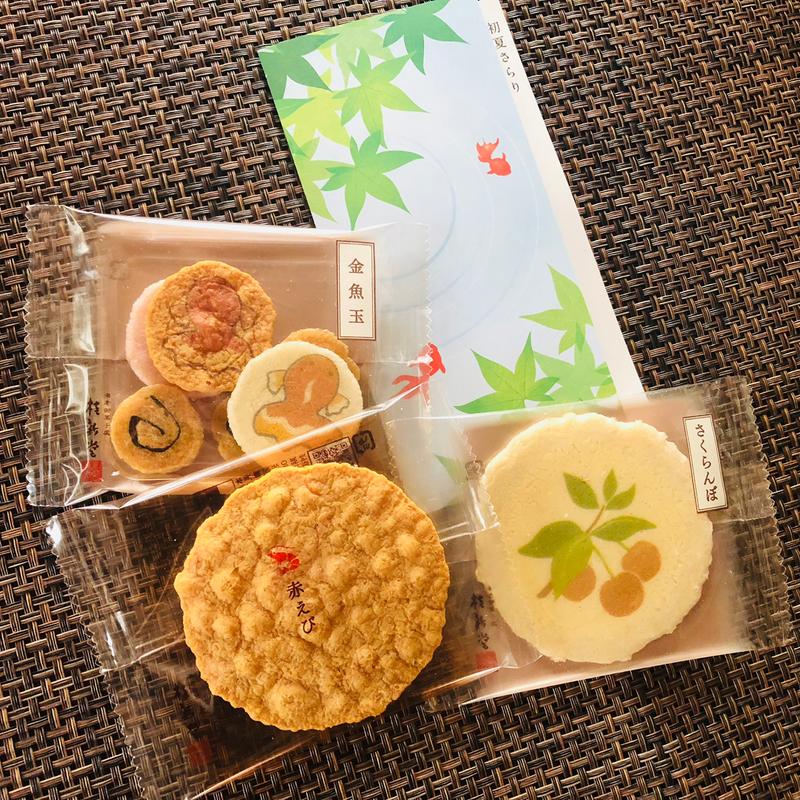 夏さらり(桂新堂 本店)