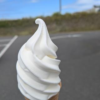 ジャージーソフト(Villa （ヴィラ）)