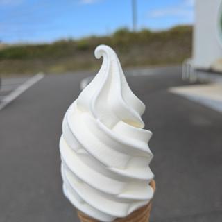 ジャージーソフト